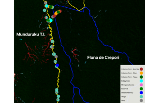 Figure 3 Map showing recent forest loss (2022–2024) from illegal mining (in light blue) within the indigenous lands and Flona. Forest loss between 2001 and 2021 is shown in dark red.